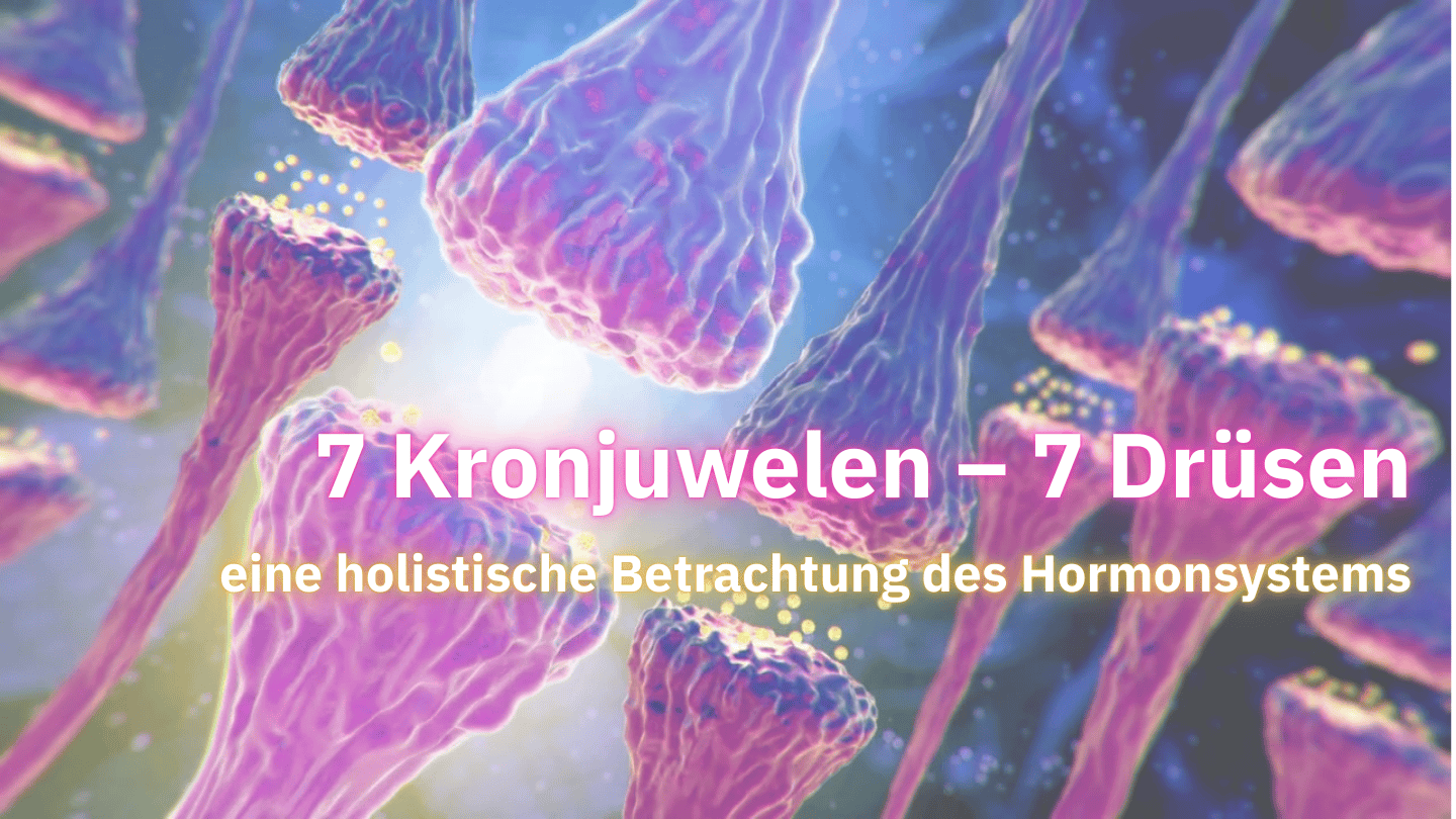 Dein 7 Kronjuwelen – 7 Drüsen-3